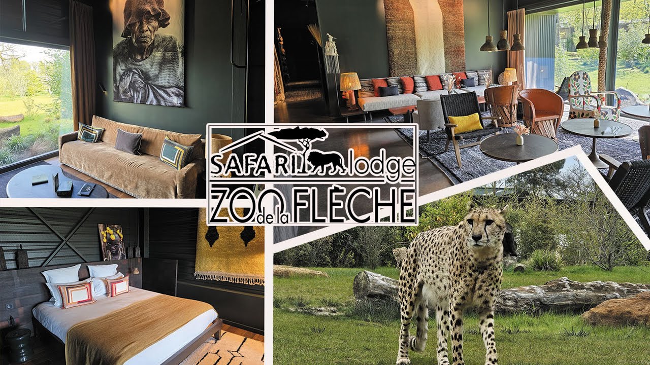ZOO DE LA FLECHE - SAFARI SUITE DELUXE GUEPARDS - DORMIR AVEC LES ANIMAUX