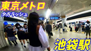【通勤ラッシュ】夕方の東京メトロ、池袋駅構内を散策！(Japan Walking around Ikebukuro Station)