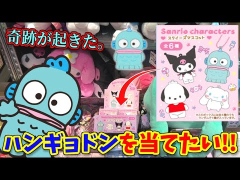 Secret trick discovered?! Is it true that only the Hangyodon box