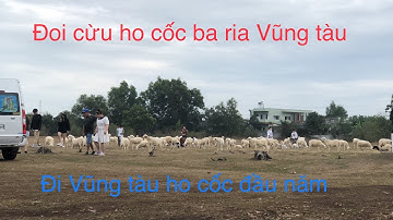 Du lịch hồ cốc,tham quan đoi cuu ba ria Vũng tàu#khanhbinhduong