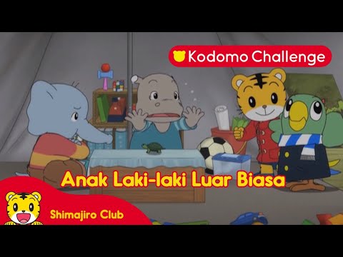 Shimajiro I Anak Laki-laki Luar Biasa I Kodomo Challenge