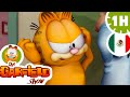 🙀 &quot;Garfield: Diversión y Travesuras en el Hogar de Jon&quot; 😺 - Compilación de Episodios en Español