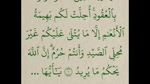 سورة المائدة من الآية 1حتى 45 كل ٱية مكررة عشر مرات بصوت أيمن رشدي سويد حفظه الله.