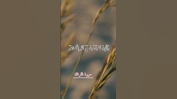 سورة الفرقان _ تلاوة هادئة/عبدالرحمن الحميداني #تلاوة_خاشعة #قرآن #عبدالرحمن_الحميداني