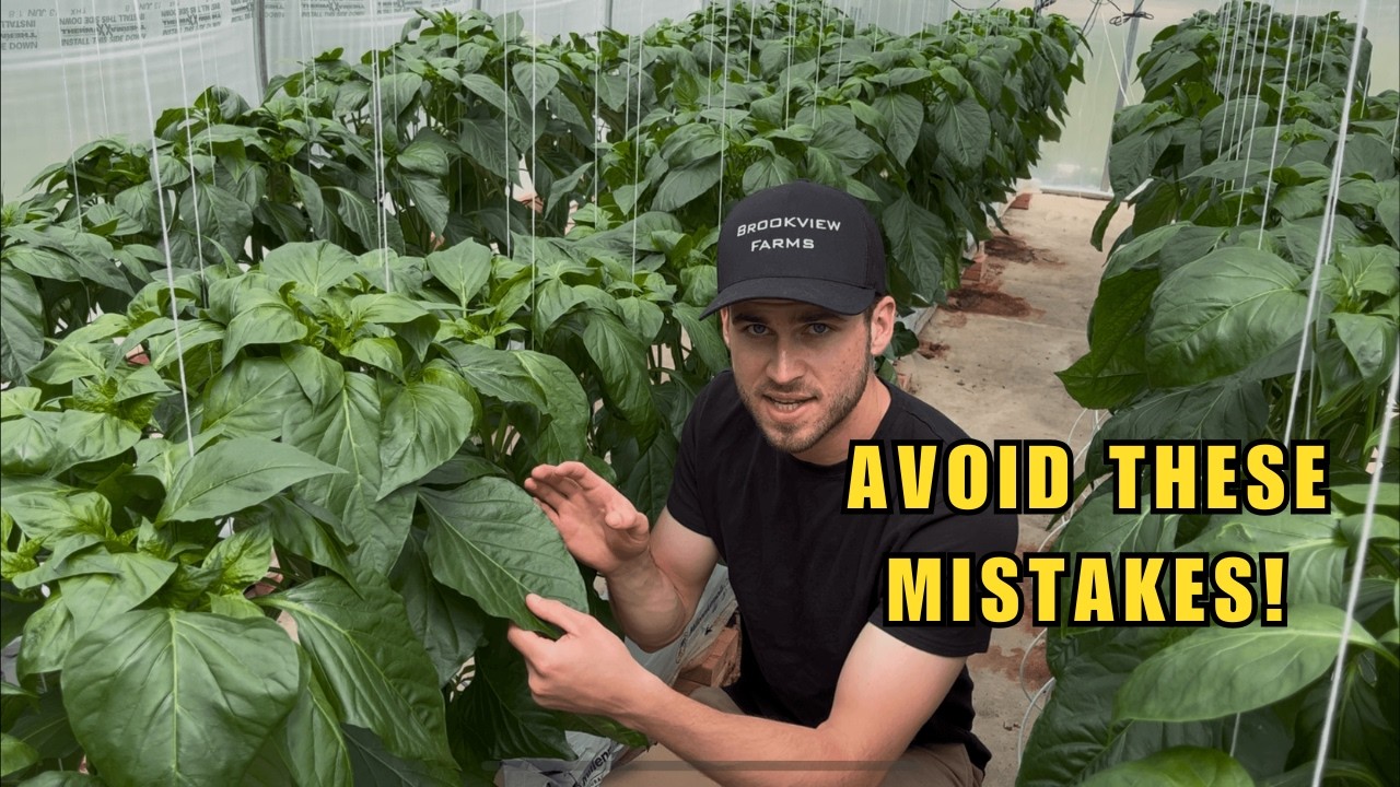 Hydroponic Peppers | Farming at Home - GREENHOUSE