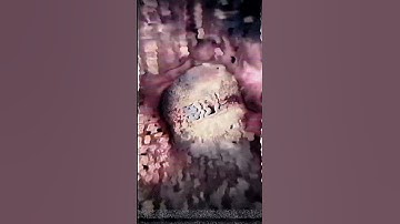 The Merge: Transition Loop #001/152