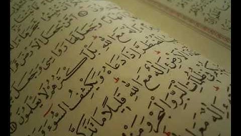 سورة الشعراء عبد الله المطرود