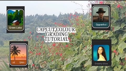 Capcut nature colour grading tutorial short video #capcuttutorial #instareels 