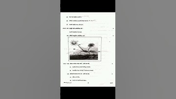 Std 7 vigyan first exam paper solution 2024 banaskantha #trending #viralvideo #shorts #trendingsong