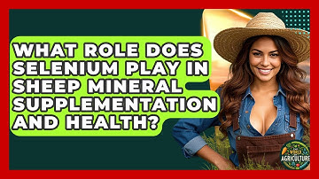 What Role Does Selenium Play In Sheep Mineral Supplementation And Health? - The World of Agriculture