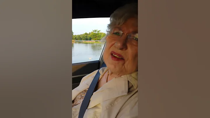 Funny mother "concerned" about driving into river