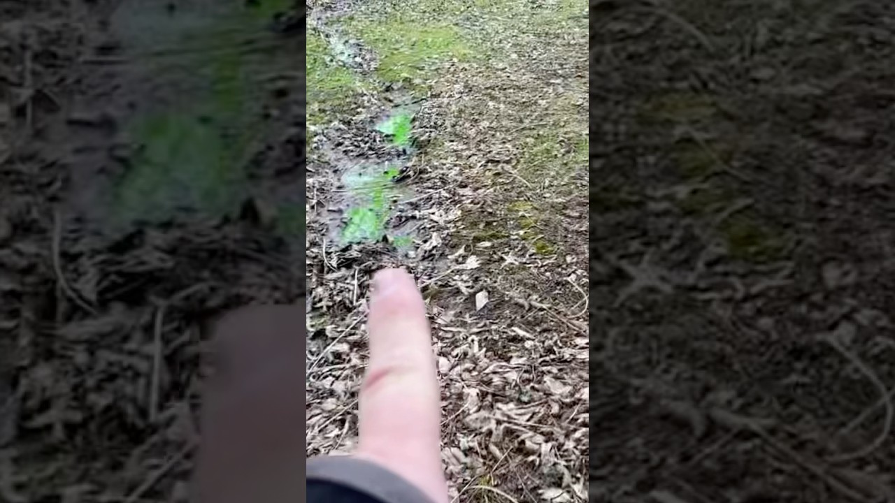 Green isn’t always a good thing