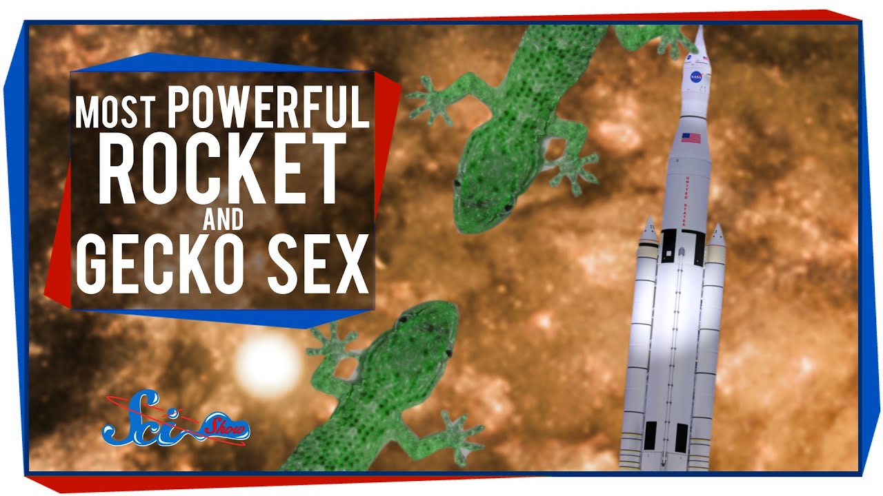 The Most Powerful Rocket Ever, and Gecko Sex in Space