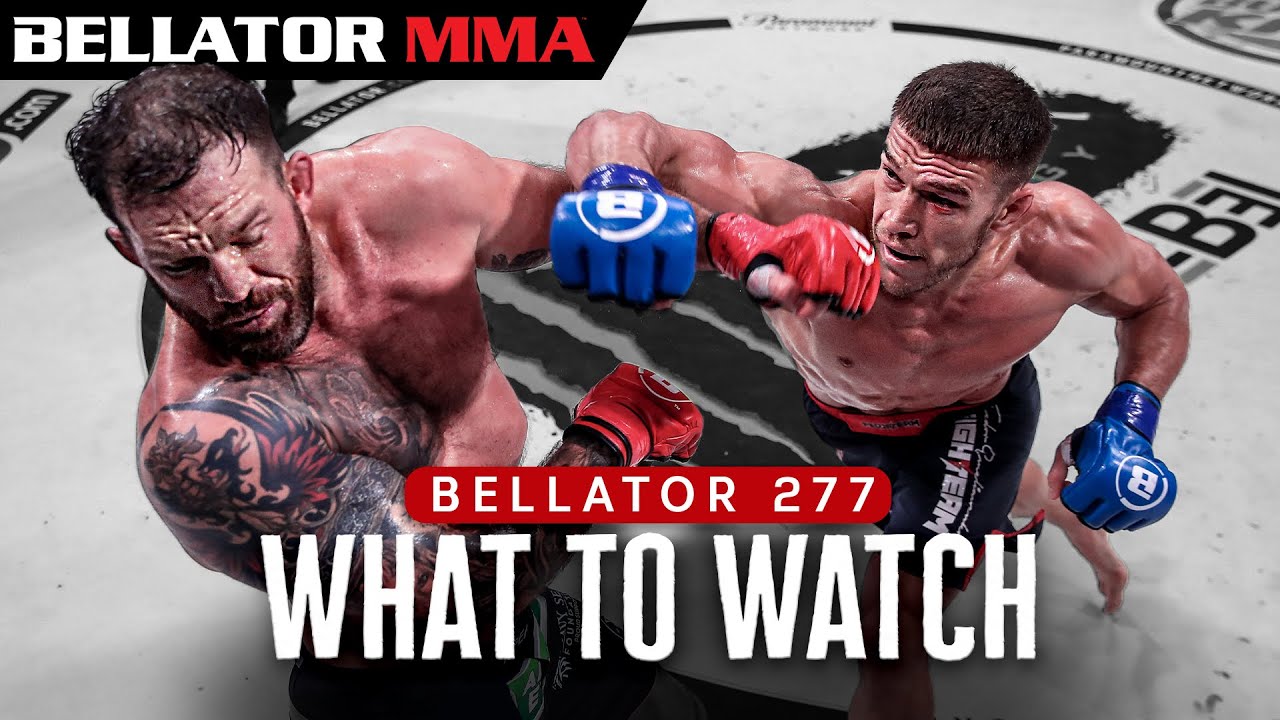 B277 Fighters You Should Be Watching Bellator MMA