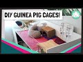 Guinea Pig Indoor C&C and DIY Cages 2020 | Build and Design Your Own Custom Cage!