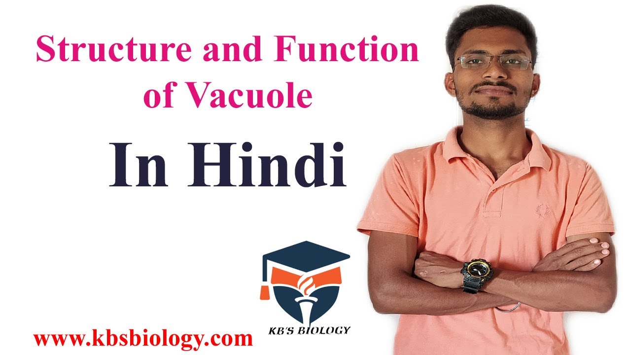Vacuole structure and function. - YouTube
