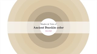 Shades & Tints of Ancient Doeskin color #dcc9a8 A Cool Orange color #c3b295 #ab9c82 #dfcfb1 #e3d5bb Ancient Doeskin Color Dcc9a8 Hex Color Orange Color Cool Color Dcc9a8