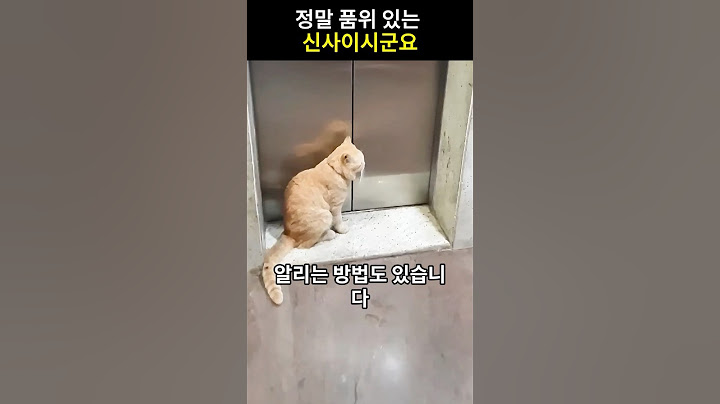 정말 품위 있는 신사이시군요