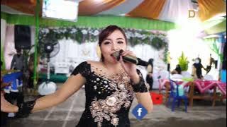 Kisah Cinta Kamu dan Aku (Tipex) COVER Ajeng Maharani ★ AREVA MUSIC ★ SHAKILA Sound ★ DVS MEDIATAMA