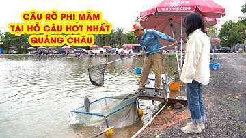 Câu Cá RÔ PHI MÂM Tại Hồ Câu Hot Nhất Quảng Châu