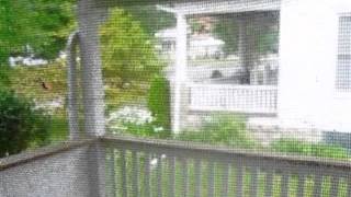 147 Benedict Ave video tour