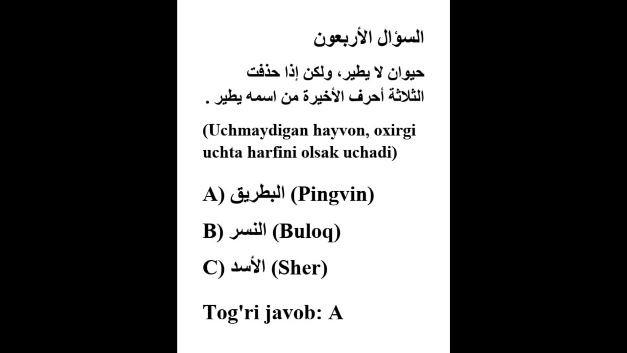 40 #arab tili #tinglab tushunish #cefr #part1 #tarjima