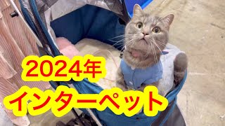 【インターペット】日本最大級のペットイベントを満喫している猫が可愛すぎた...