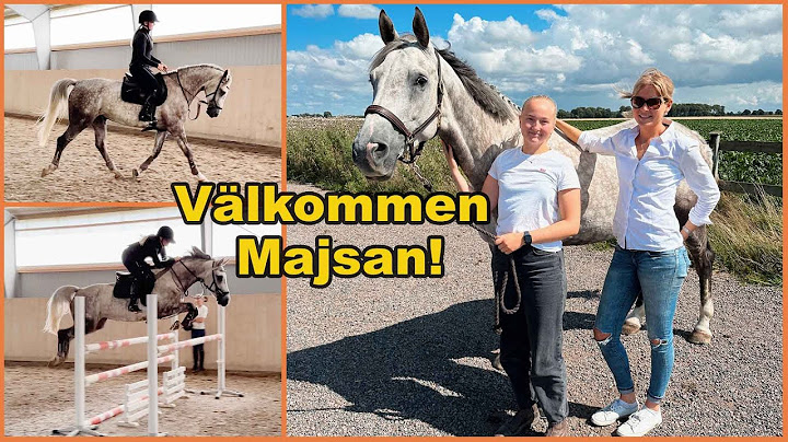 Följ med och hämta hem min nya häst!