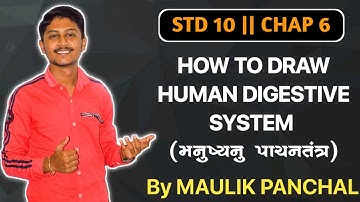 HOW TO DRAW HUMAN DIGESTIVE SYSTEM (મનુષ્યનું પાચનતંત્ર) IN GUJARATI || BY MAULIK PANCHAL