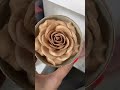 Rose Highlight