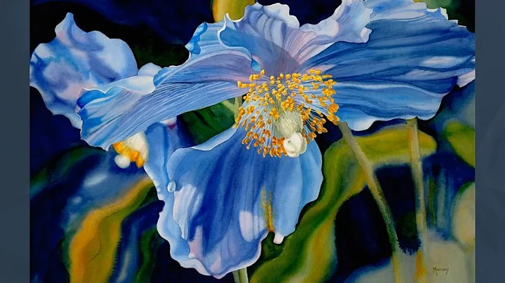 Marney Ward