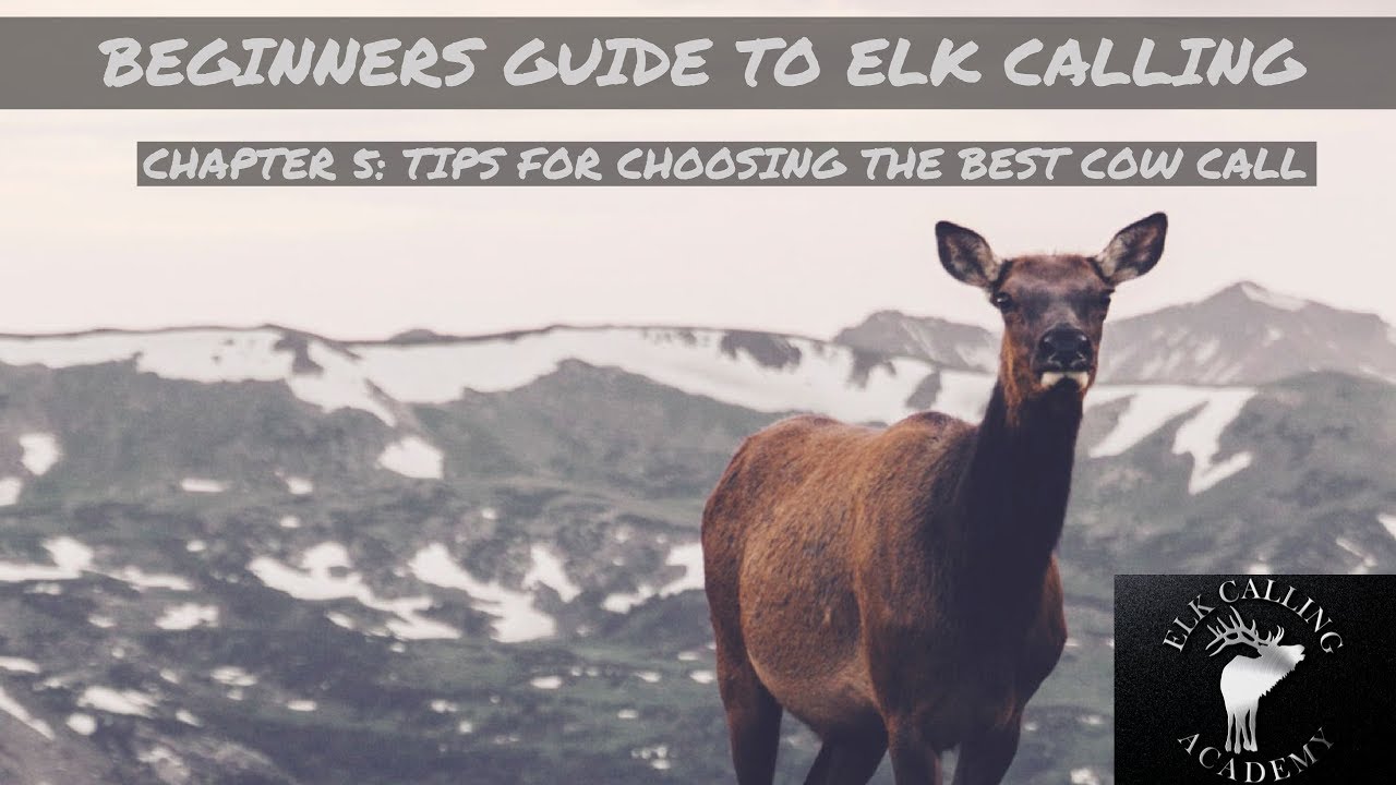 Elk Reel Lesson 1: How The Calls Work and Creating the Initial Note 