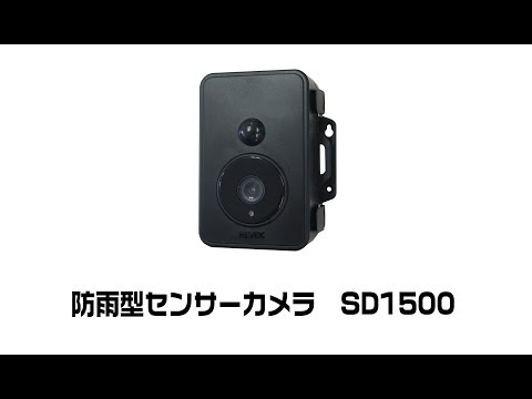 動画