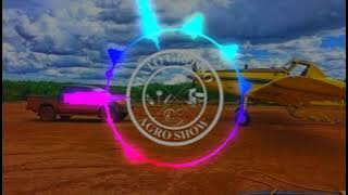 Douglas e Vinicios part. Zé neto e Cristiano - Estelionato Efetivo ( Mato Grosso Agroshow)