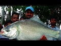 Huge Catla Fish Catching Videos By Saiful Use Fishing Rod In Hatiar Dighi