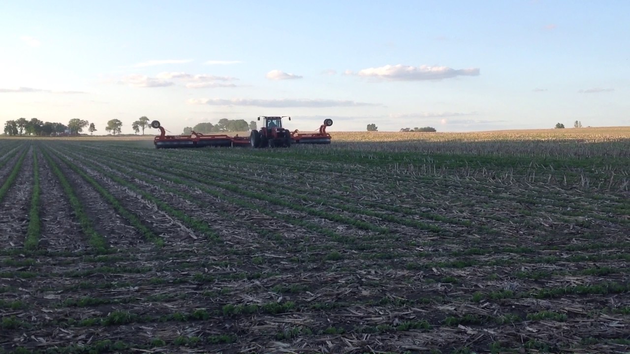 Rolling soybeans 2016 - YouTube