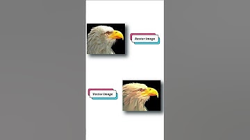 Raster to vector Andweart Vector Services #shorts #short