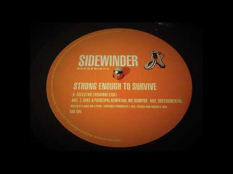 Eclectro — Eclectro – Strong Enough To Survive (Instrumental) (1999)