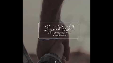 القرآن الكريم | أَتَأْمُرُونَ النَّاسَ بِالْبِرِّ وَتَنسَوْنَ أَنفُسَكُمْ | سورة البقرة