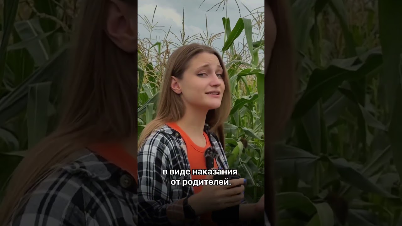 Три самые частые манипуляции в отношениях #психологияотношений