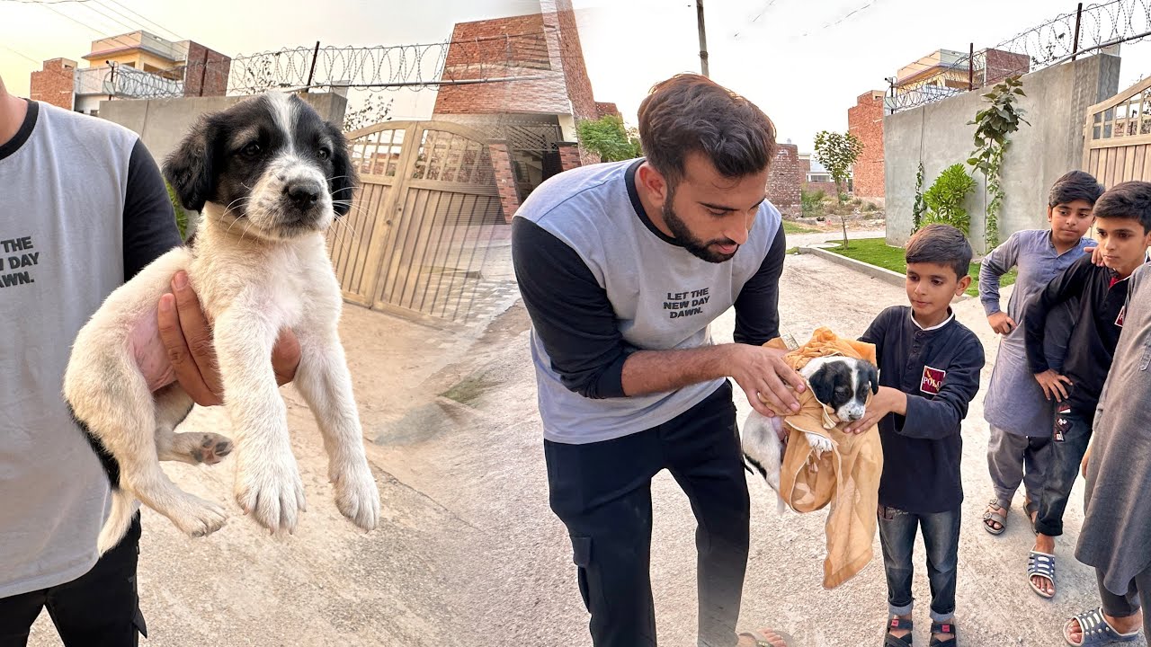 Cute Puppy Ko Rescue Kr lia😍Chutki ka Dost Agea