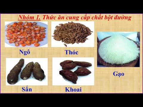 Lớp 5 - Tuần 18 - Môn Kỹ thuật - Bài : Thức ăn nuôi gà (Tiết 2)
