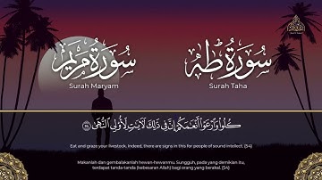 صدقني !! صوته يدخل القلب   تلاوة تقشعر لها الابدان بصوت جميل   سورة طه و سورة مريم   القارئ انس محمد