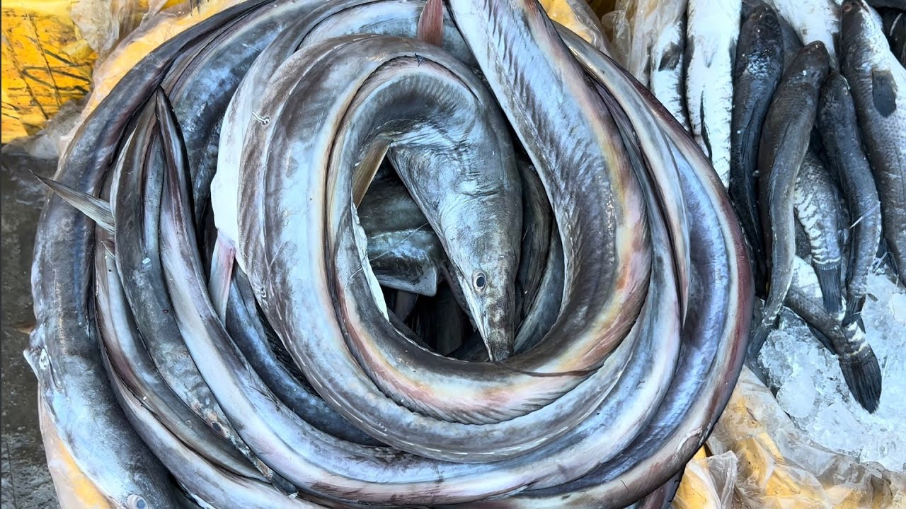 Fish Market in Faisalabad  ‚ Pakistan || Walking Tour  Faisalabad Big Fish Market