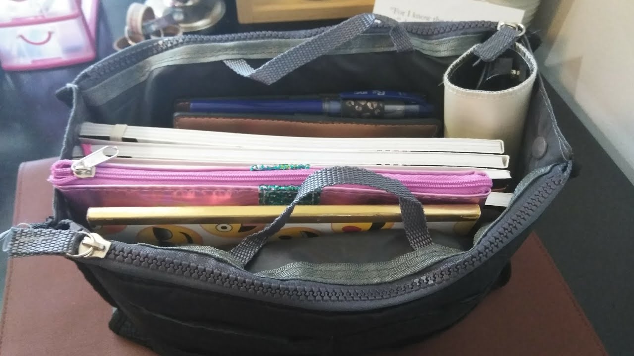 Small Amazon Haul | Purse Organizer