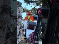Tree Removal Services 2 - #shorts #shortvideo