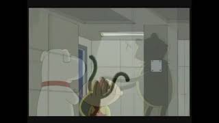 Kermit Yay 5 Minutes