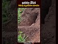 Shocking Incident In Panjagutta | Hyderabad | TV5 News