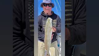 Tradition Charters. Best inshore/nearshore fishing charters in Pensacola Florida and Perdido Key!!!
