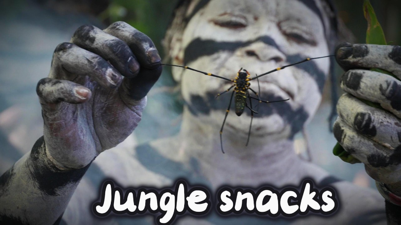 Forget Granola: The Jungle’s Ultimate High-Protein Snack I Insect hunters of PNG